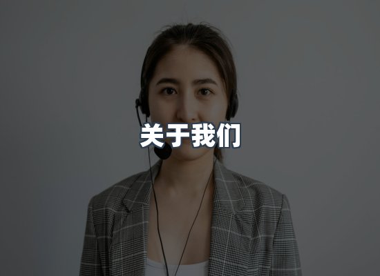 关于我们